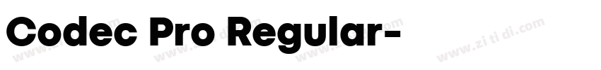 Codec Pro Regular字体转换